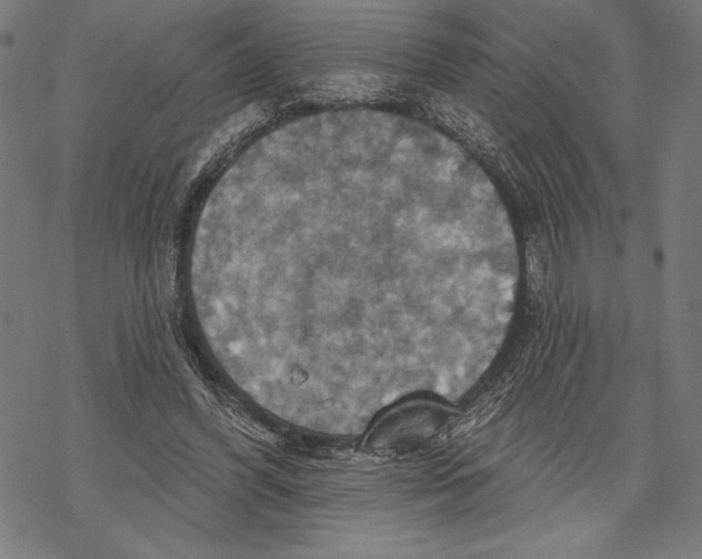 X0000067840396200605111648