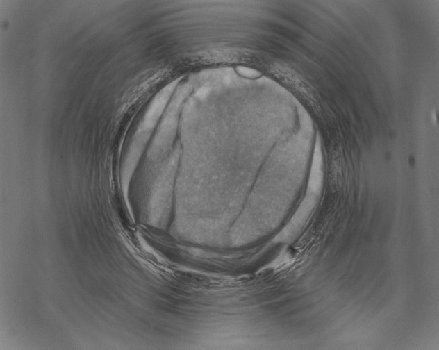 X0000067840398200605111648