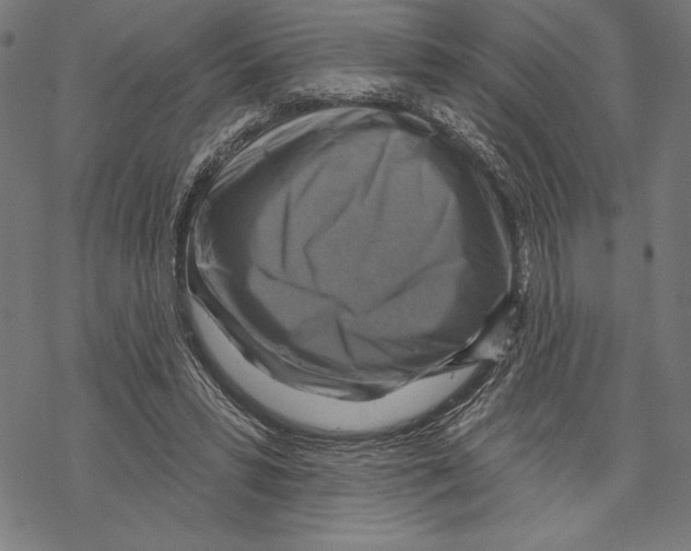 X0000067840399200605111648