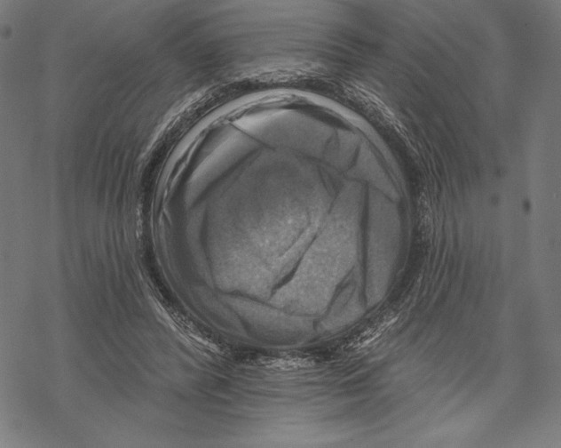 X0000067840400200605111648