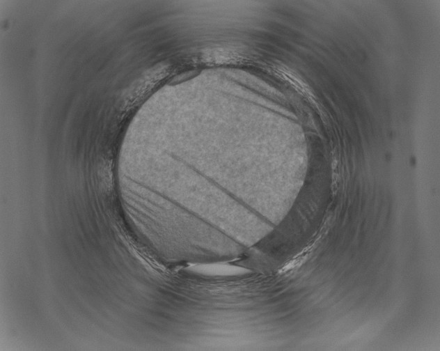 X0000067840401200605111648