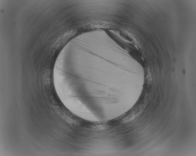 X0000067840402200605111648