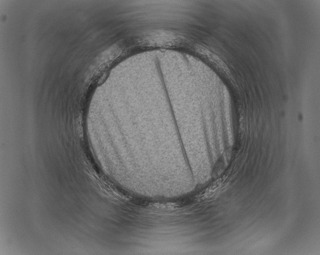 X0000067840403200605111648