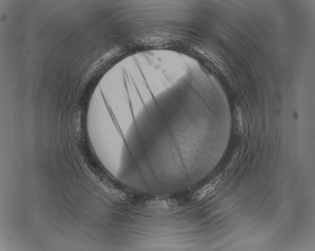 X0000067840404200605111648