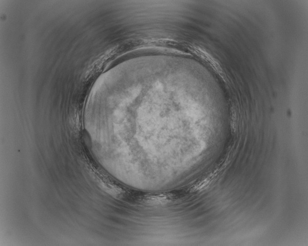 X0000067840405200605111648