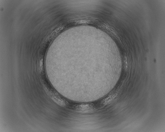 X0000067840406200605111648