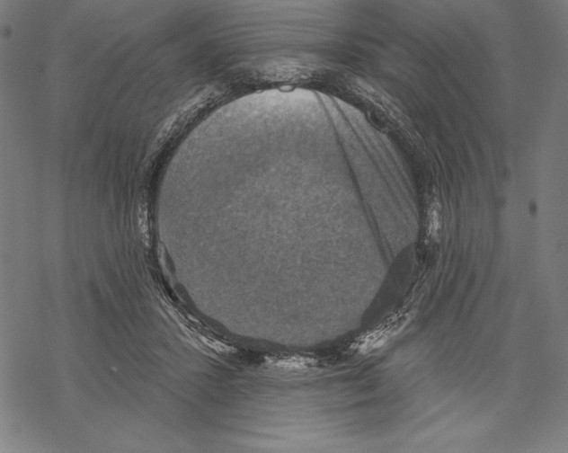 X0000067840407200605111648