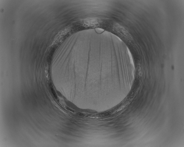 X0000067840408200605111648