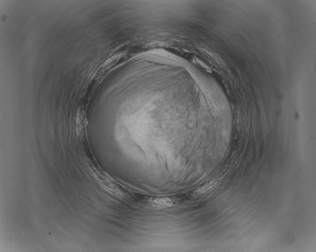 X0000067840409200605111648