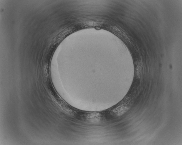 X0000067840410200605111648