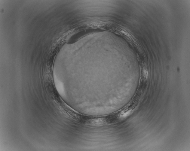 X0000067840411200605111648