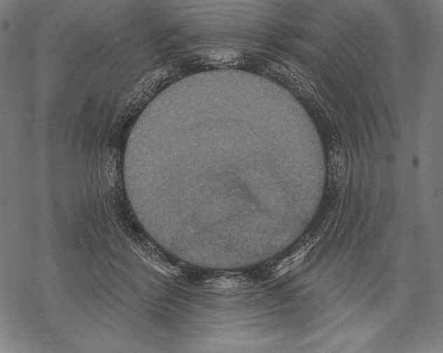 X0000067840412200605111647