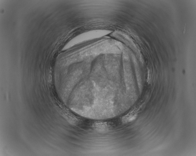 X0000067840413200605111647