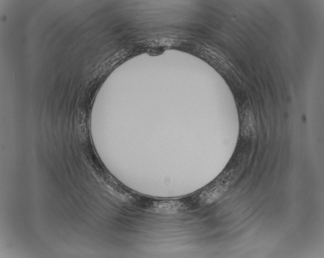 X0000067840414200605111647