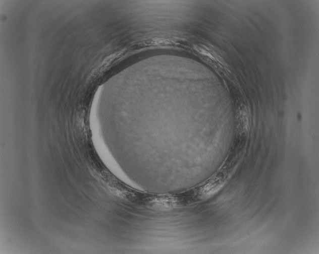 X0000067840415200605111647