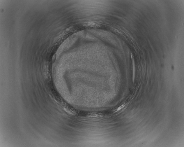 X0000067840416200605111647