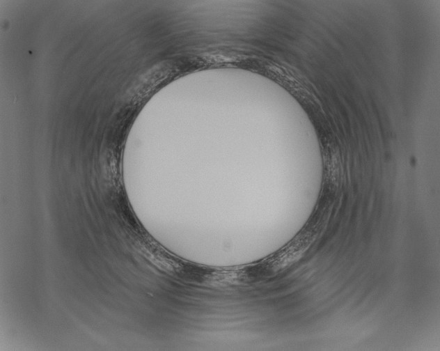 X0000067840418200605111647