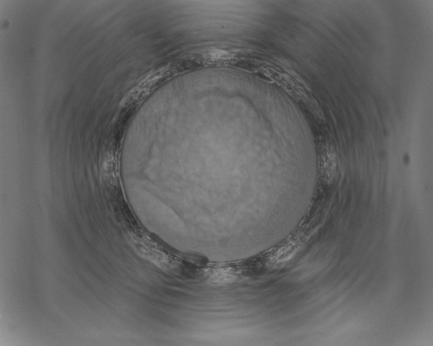 X0000067840419200605111647