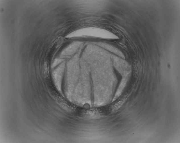 X0000067840420200605111647