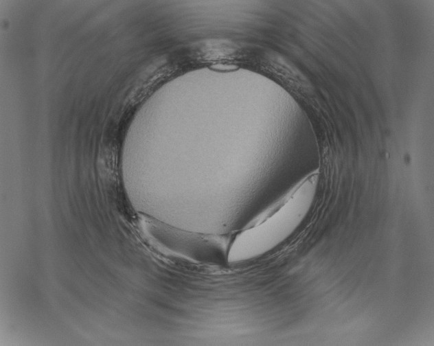 X0000067840421200605111647