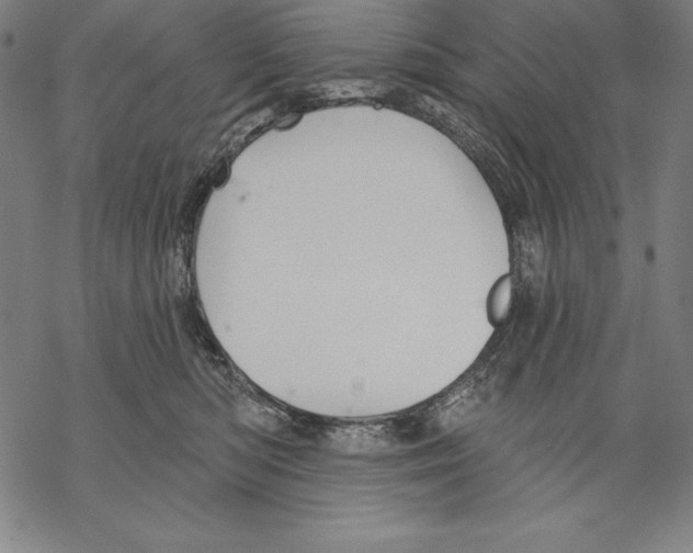 X0000067840422200605111647