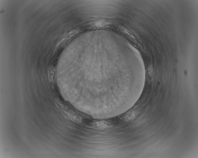 X0000067840423200605111647