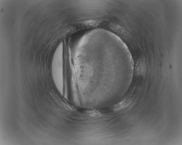 X0000067840424200605111647