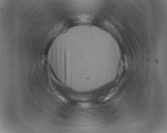 X0000067840425200605111647