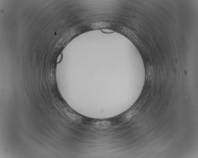 X0000067840426200605111647