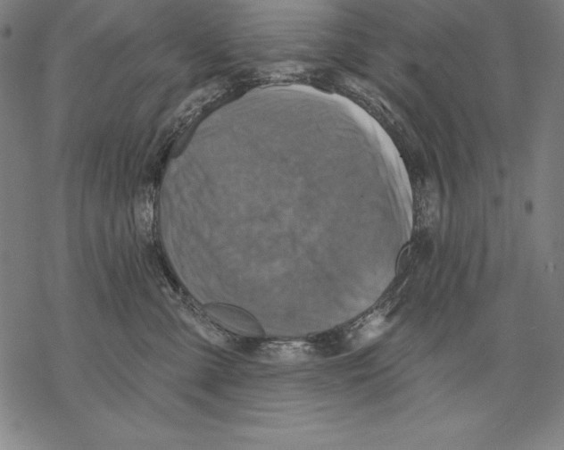 X0000067840427200605111647