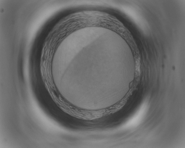 X0000067840431200605111647