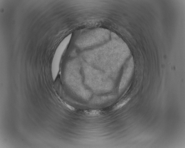 X0000067840432200605111647