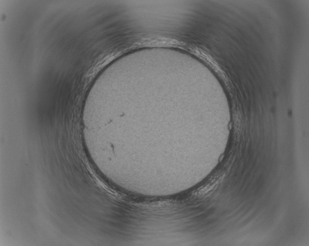 X0000067840433200605111646