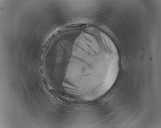 X0000067840434200605111646