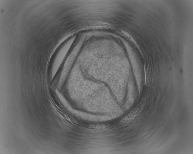 X0000067840435200605111646