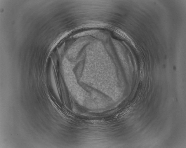 X0000067840436200605111646