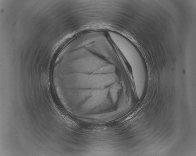 X0000067840438200605111646