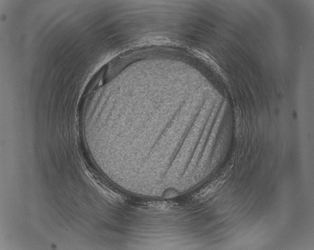 X0000067840439200605111646