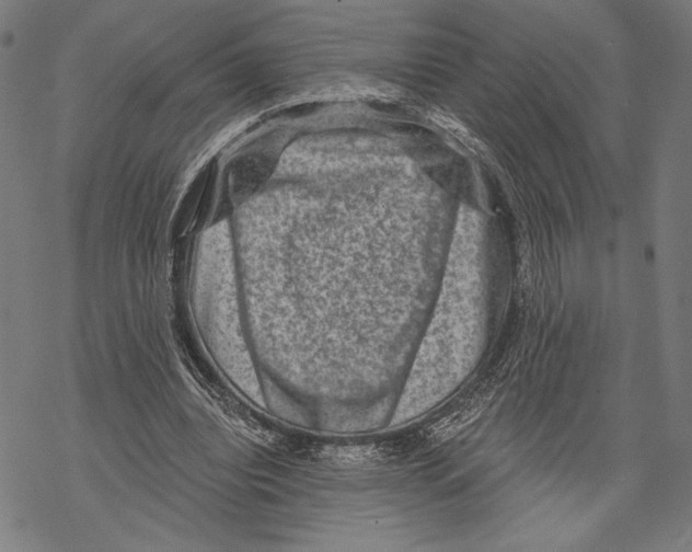 X0000067840440200605111647