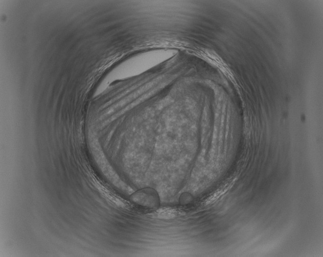 X0000067840441200605111647