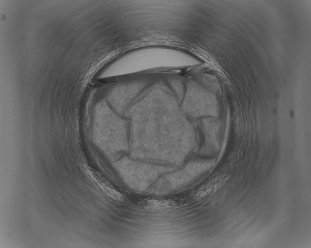 X0000067840442200605111647