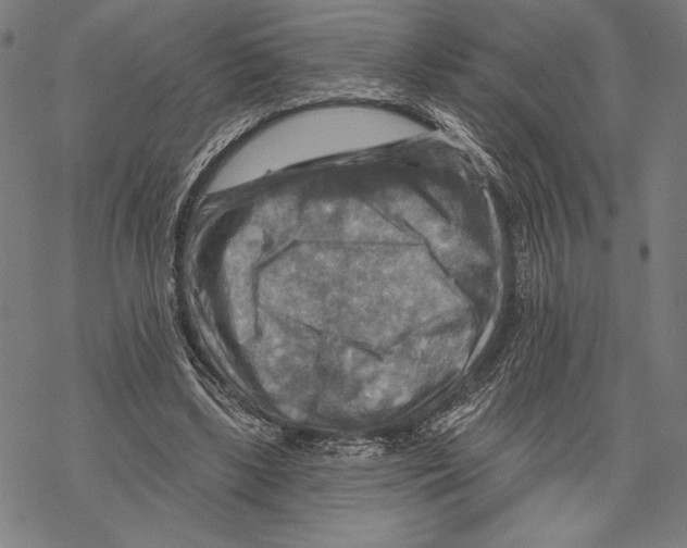 X0000067840443200605111647