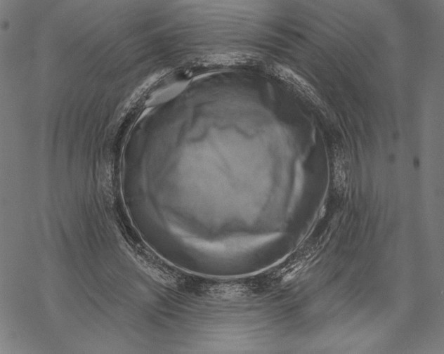 X0000067840444200605111647