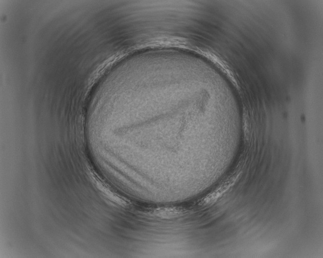 X0000067840445200605111647