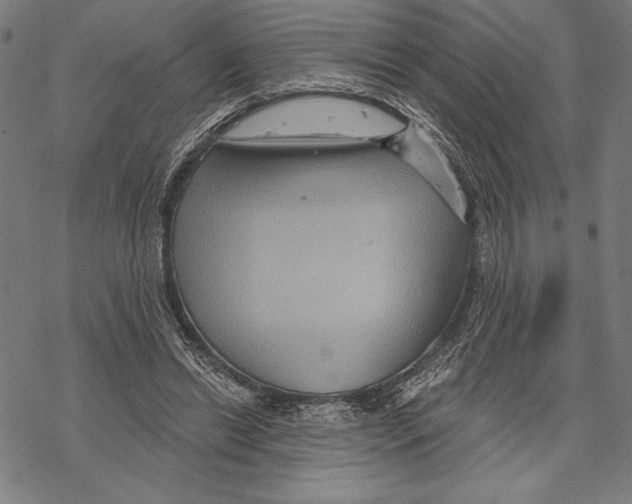 X0000067840446200605111647