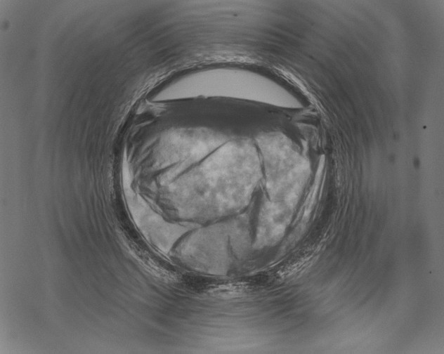 X0000067840447200605111647