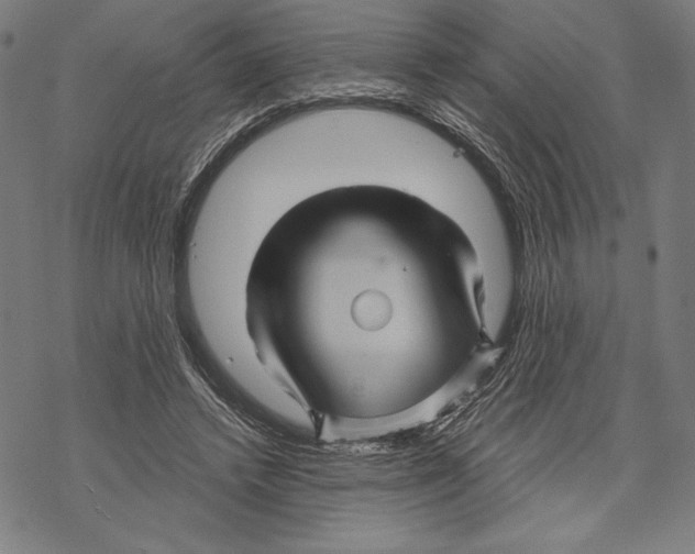 X0000067840448200605111647