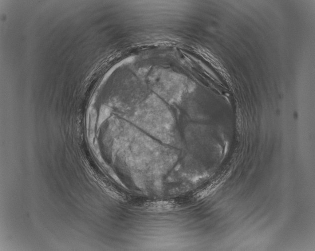 X0000067840449200605111647