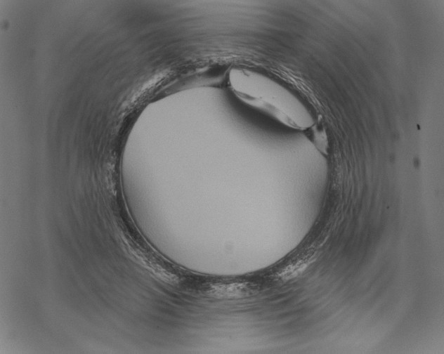 X0000067840450200605111647