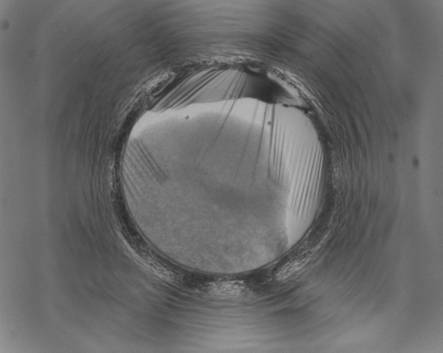 X0000067840451200605111647